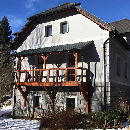 Villa Vykmanov Měděnec Kültér fotó